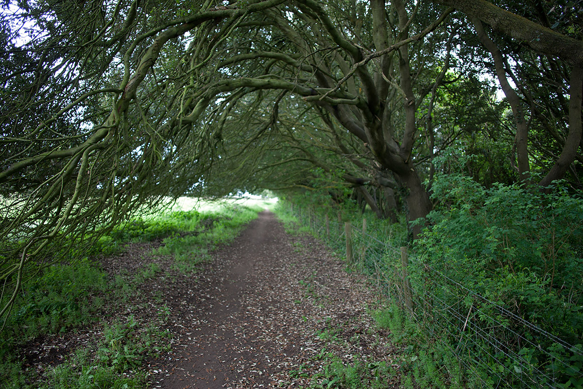 Walking the South-West Coastal Path
