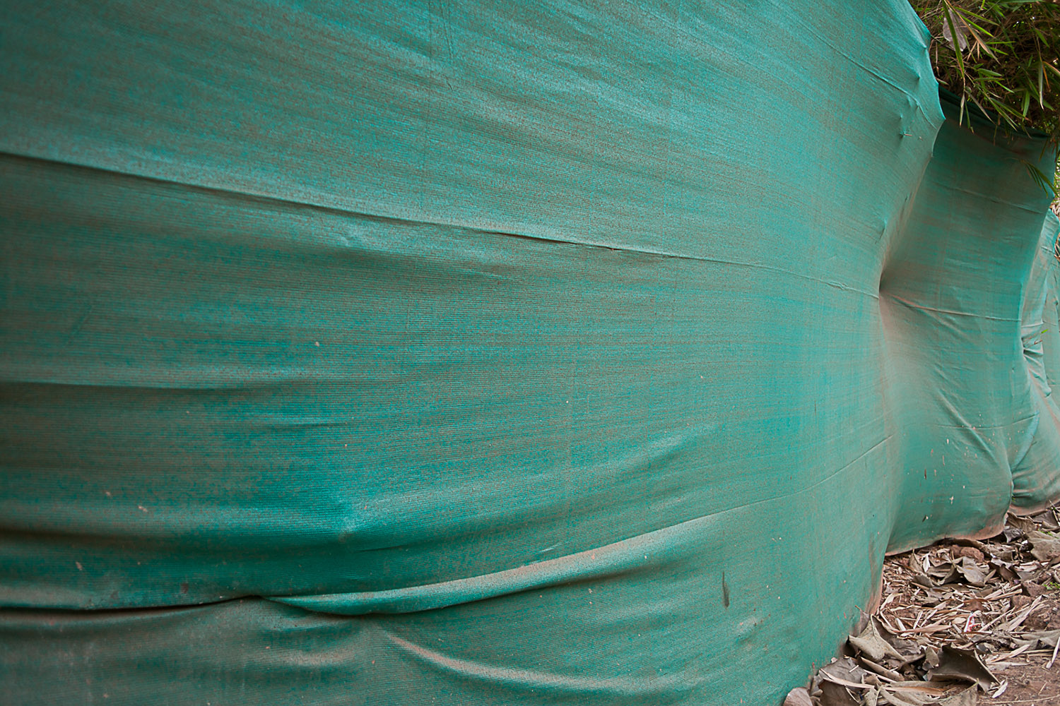 We all love mesh and tarp: here a most unusal fencing  arrangement using one, but not the other