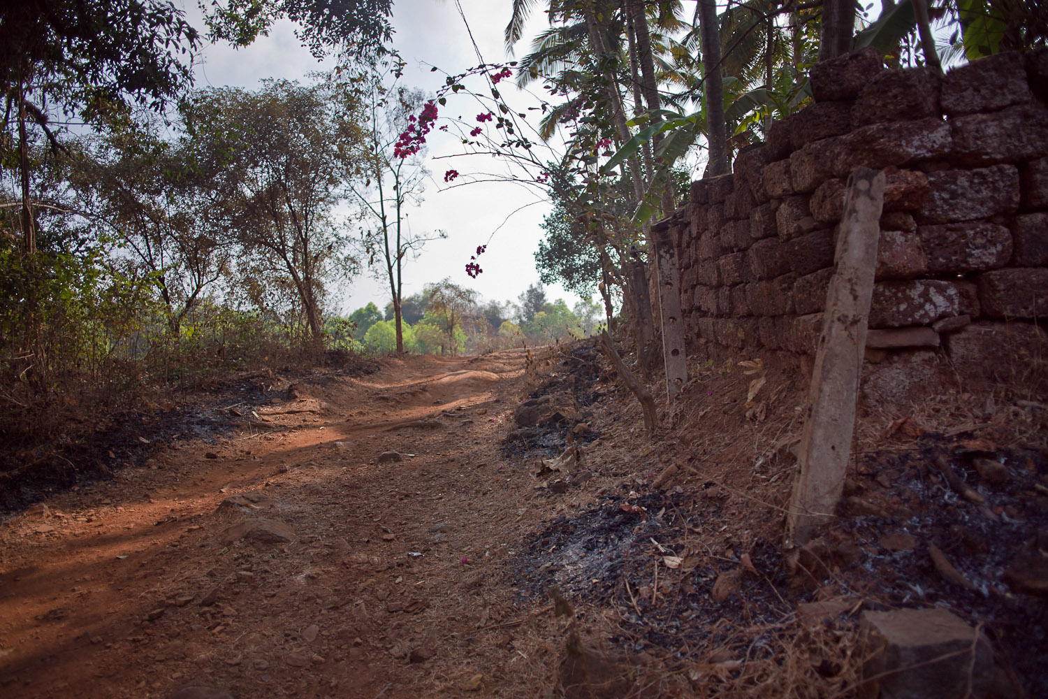 Patnem Beach, Goa