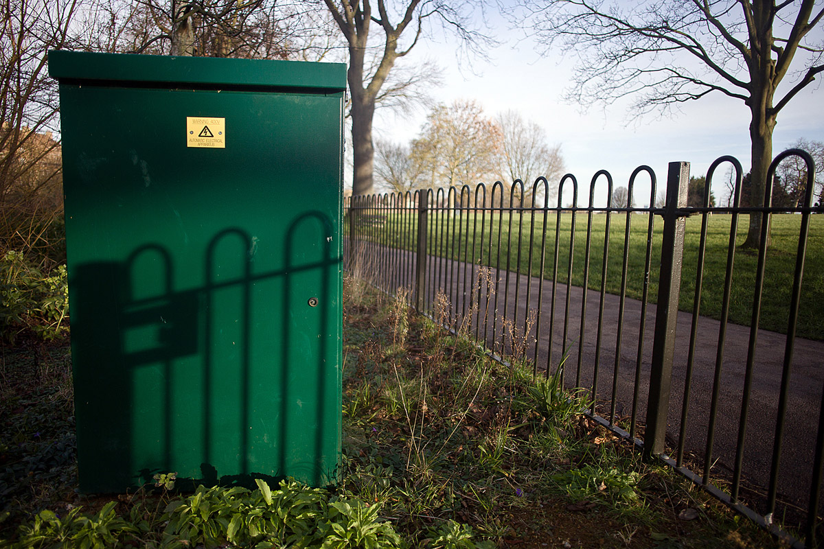 Brockwell Tree, Brixton 