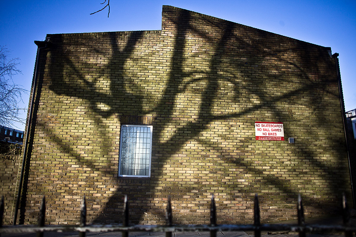 Brockwell Tree, Brixton 