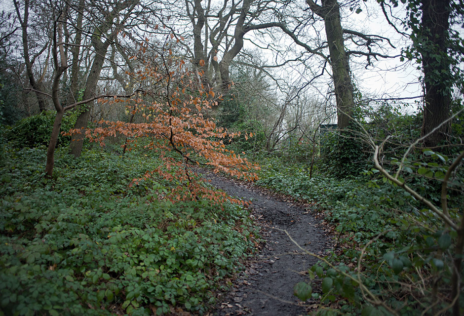 Paths to Peace