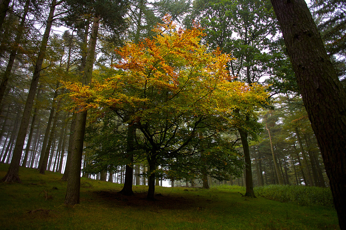The Peak District